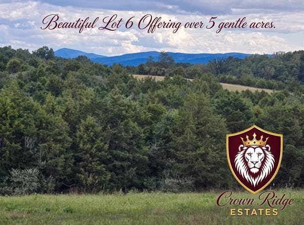BERRY FARM RD lot: 6, STAUNTON, VA 24401