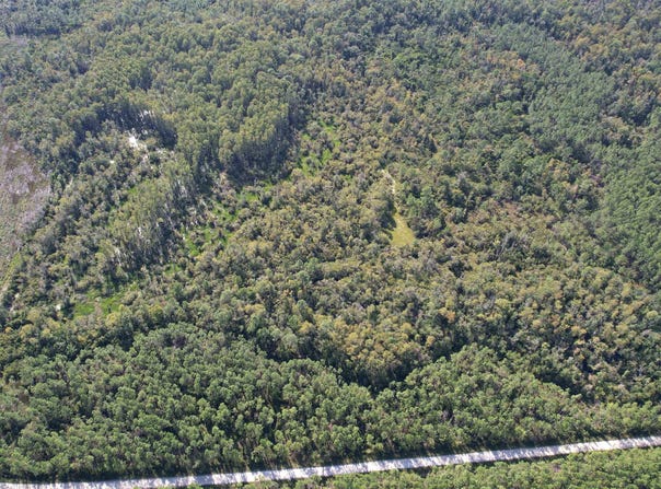 0 Airport Grade Road, Perry, FL 32348
