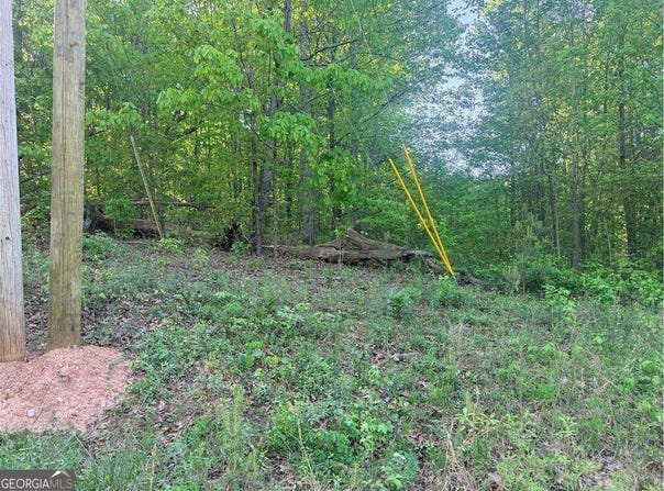 Mountain View Circle, Bremen, GA 30110