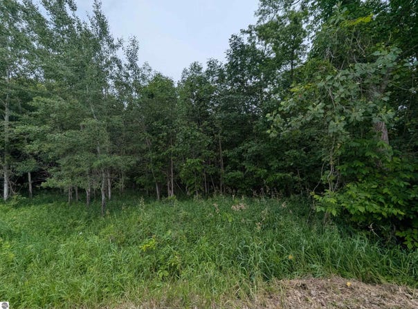 Shenfield Road, Turner, MI 48765