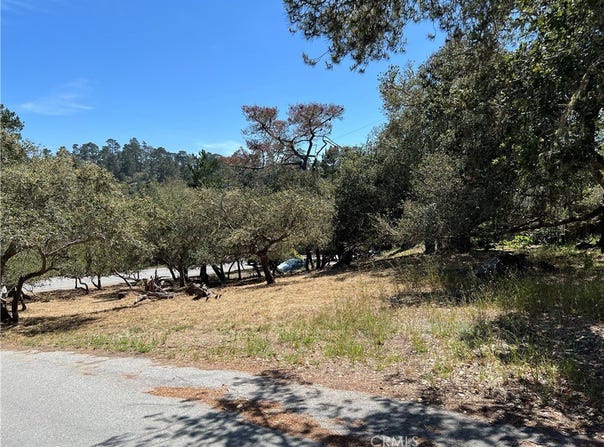 Pierce Avenue, Cambria, CA 93428