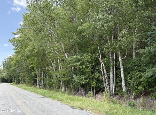 Cohen Road, Pineland, SC 29934