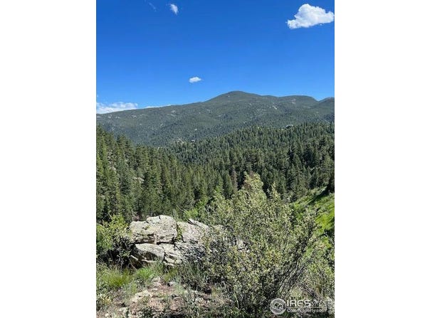 84 Copper Hill Rd, Glen Haven, CO 80532