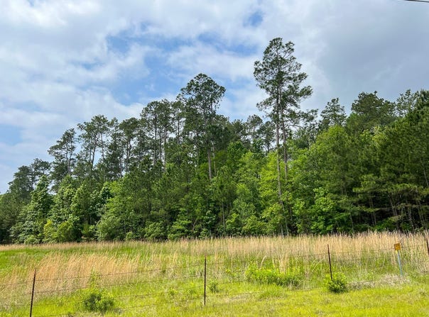 Elise Gore Lane, Silsbee, TX 77656
