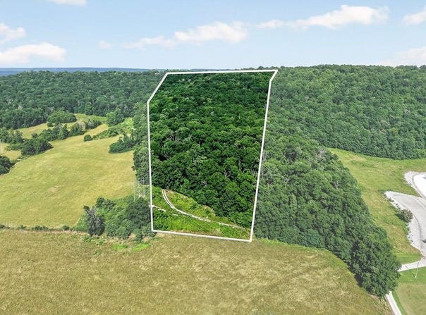 23.5AC Moore Cove Rd, Quebeck, TN 38579
