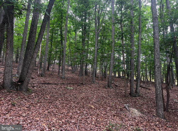 17 REYMANN Drive, YELLOW SPRING, WV 26865