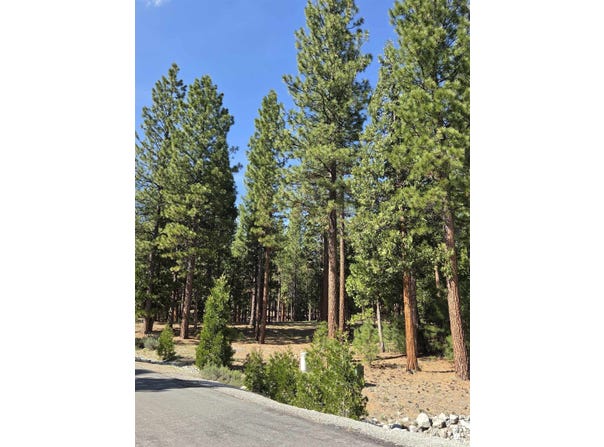 762 Blacktail Ridge, Portola, CA 96122