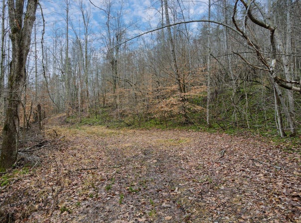 1737B High Rock Road, Stanton, KY 40380
