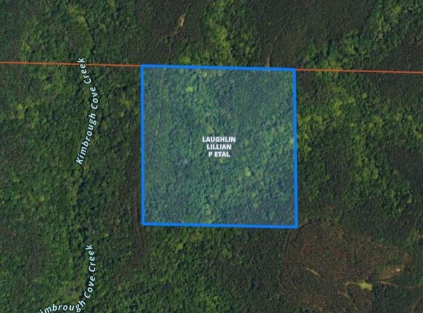 Hoggle Ridge Road, Tract 18, Haleyville, AL 35565