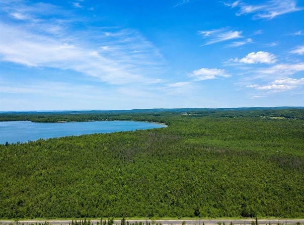 TBD E VAN, PELLSTON, MI 49769
