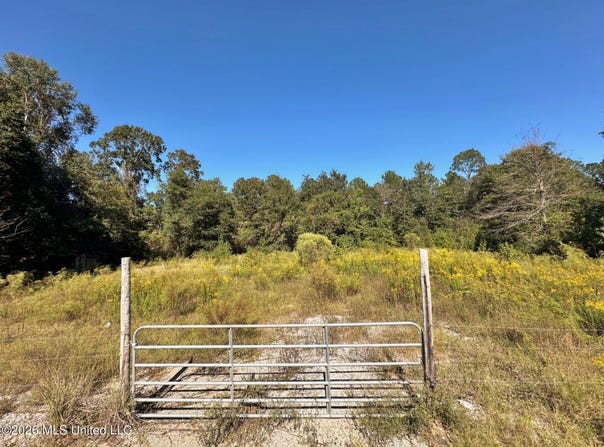 1ac Highway 198, Beaumont, MS 39423