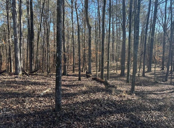 Carl Mathis Road, Talbotton, GA 31827