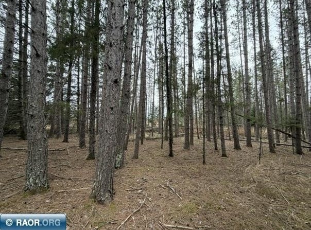 5th St SE, Cook, MN 55723
