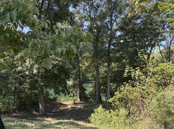 240 River Mist Drive, Pangburn, AR 72121-0240