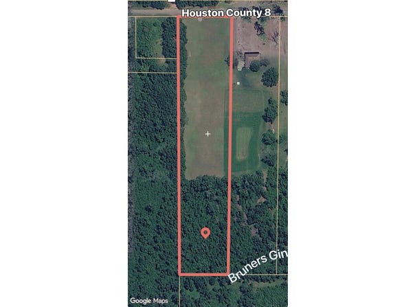 E County Rd 8, Ashford, AL 36370