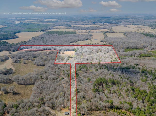 120 tbd Stevens Dr, Marietta, TX 75566