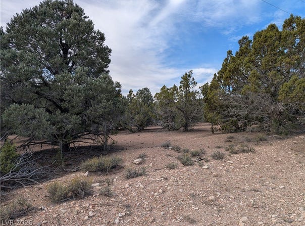 Side Hill Pass lot: 1-D, Pioche, NV 89043