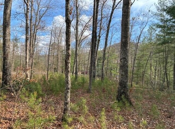 Mountain Ash Way, Sevierville, TN 37876
