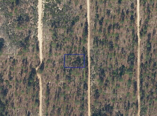427 Dothan St, Interlachen, FL 32148