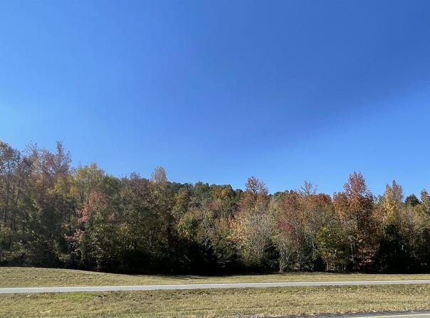 HIGHWAY 75 lot: 2, ONEONTA, AL 35121