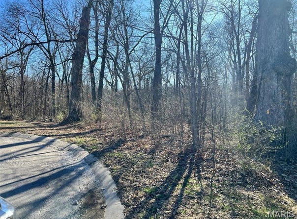 4 Acres Oak Ridge Pond Court Road, Hannibal, MO 63401