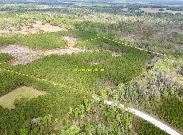 Vacant SW Captain Brown Rd, Madison, FL 32340