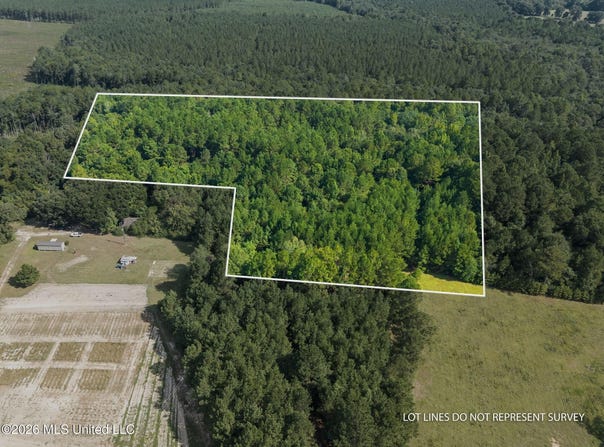 Big Hill, Lumberton, MS 39455