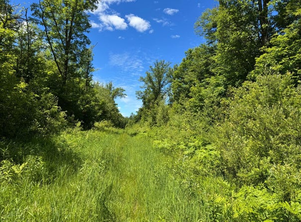 300th Lane, McGregor, MN 55760