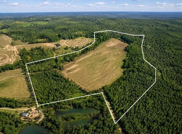 2109 Driggers Lane, Manning, SC 29102