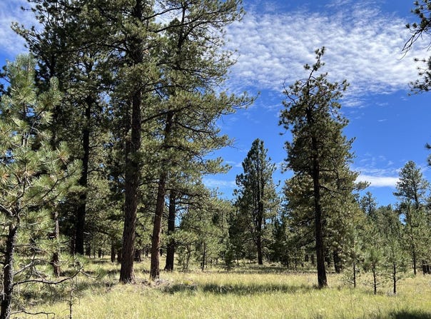 82 Kiowa Cir, Westcliffe, CO 81252