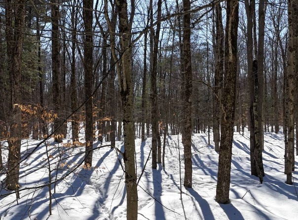 00 Florence Hill Rd, Florence, NY 13316