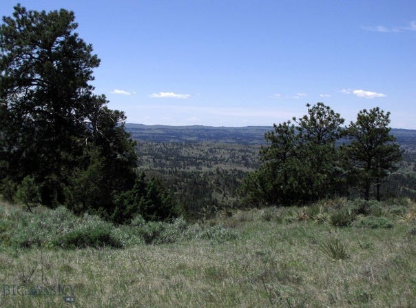 NHN Lone Rock Canyon Lane, Hysham, MT 59038