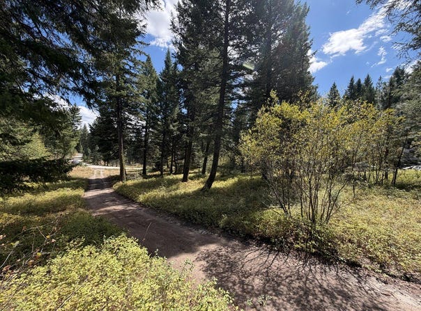 48 Rehn Loop lot: 5, Cascade, ID 83611