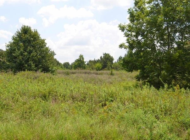 Gunn Road, Byron, GA 31008