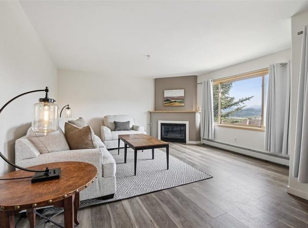 95600 Ryan Gulch Road, SILVERTHORNE, CO 80498