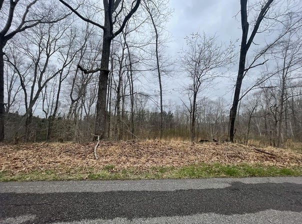 1 Forest Trail, BUMPUS MILLS, TN 37028