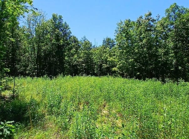 0000000 Easement, Annapolis, MO 63620