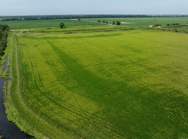 E Posey Rd., Wheatley, AR 72392-0000