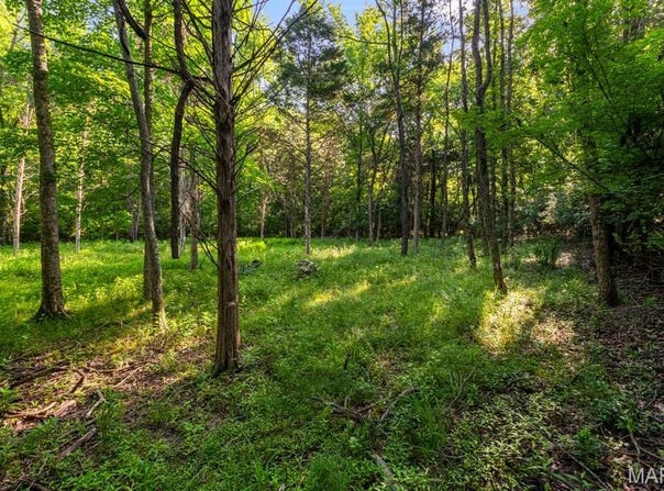 3701 Bear Tooth Lane, Wildwood, MO 63069