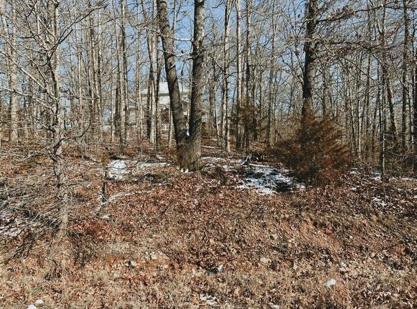 Lot 4 Block 13 Morrison Sub, West Plains, MO 65775