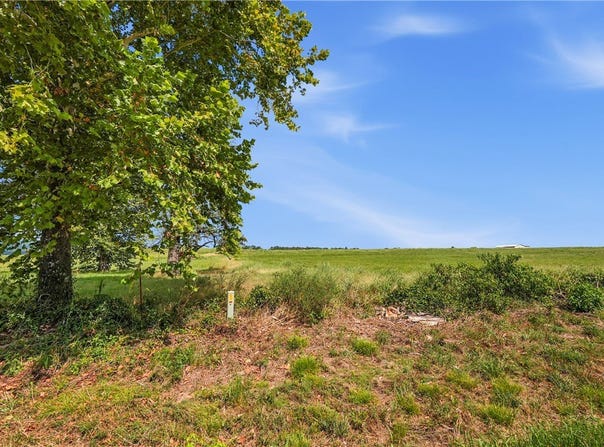 TBD Tract 5 Llewellyn Loop lot: 5, Hector, AR 72843