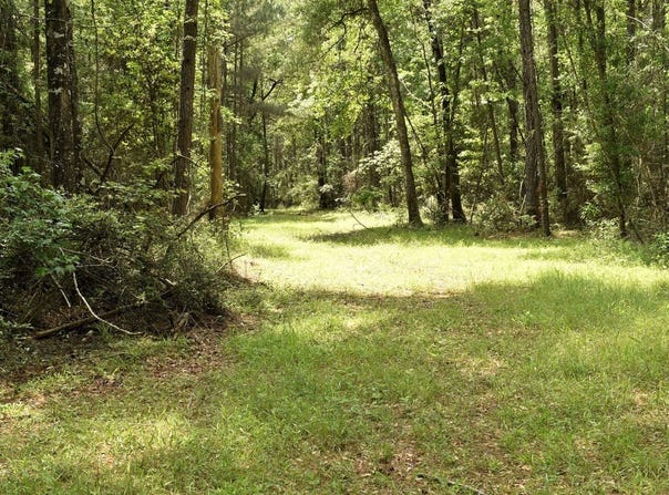Tbd Hepzibah Rd, Clinton, LA 70722