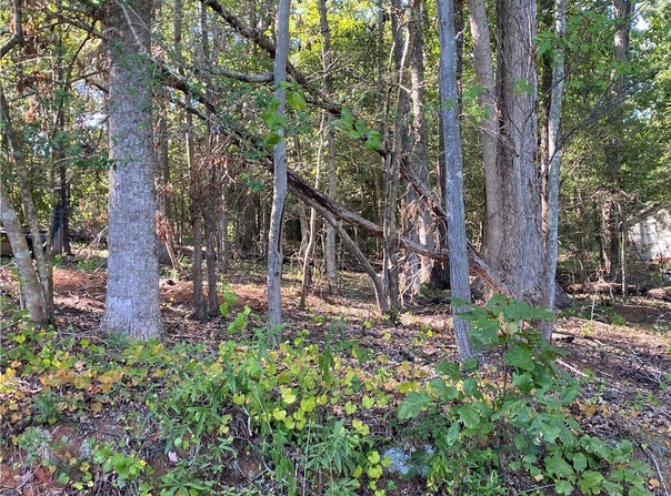 McFalls Circle, Anderson, SC 29621
