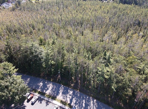 V/L CHIPPEWA BEACH ROAD, INDIAN RIVER, MI 49749