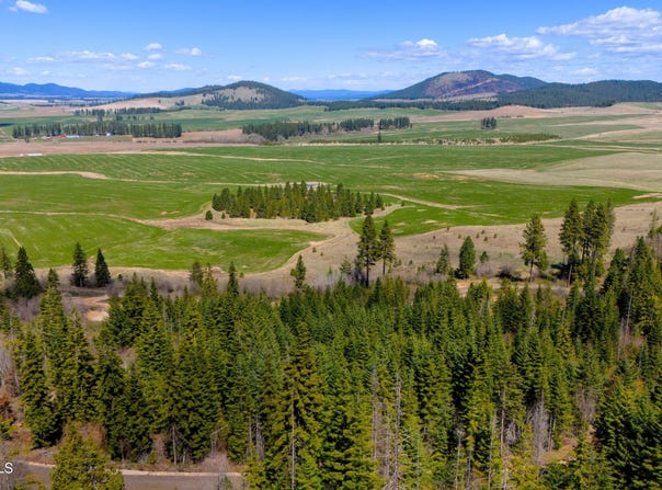 Lone Moose Dr lot: 11, Plummer, ID 83851