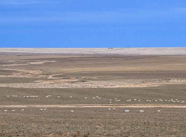 Highway 109, Genoa, CO 80818