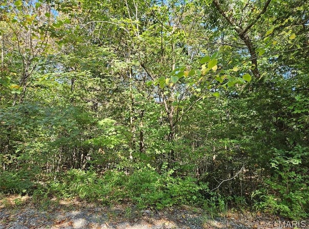 9488 Bent Tree Drive, Hillsboro, MO 63050