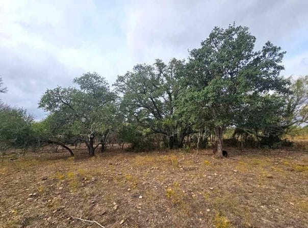 415 Black Watch Ln, Lockhart, TX 78644