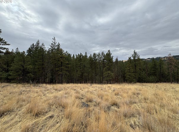 Fireline, Bickleton, WA 99322
