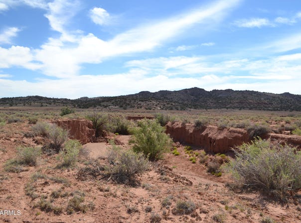 N8577, Concho, AZ 85924